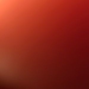 Meet your Posher, Marjan